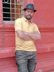 VVZ6668  : Maratha (Marathi)  from  Satara