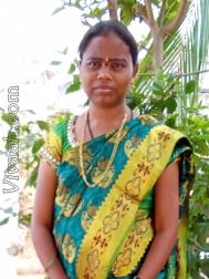 VVZ7147  : Korama (Telugu)  from  Hyderabad
