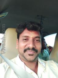 VVZ7430  : Gavara (Telugu)  from  Coimbatore