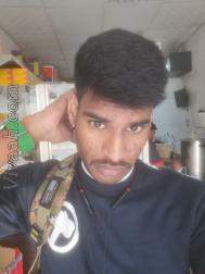 VVZ7496  : Pillai (Tamil)  from  Ras al-Khaimah