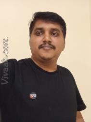 VVZ7896  : Vokaliga (Kannada)  from  Bangalore