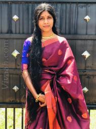 VVZ7968  : Vellalar (Tamil)  from  Jaffna
