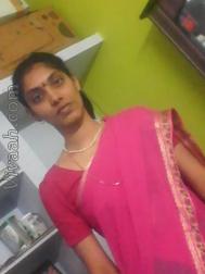 VVZ8377  : Brahmin (Telugu)  from  Nellore