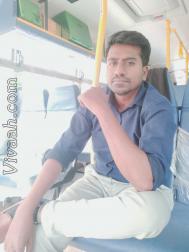 VVZ9176  : Thogata (Telugu)  from  Bangalore