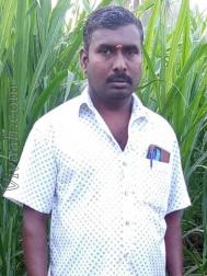 VVZ9636  : Vanniyar (Tamil)  from  Salem (Tamil Nadu)
